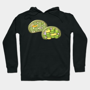 Chloroplast Illustration Hoodie